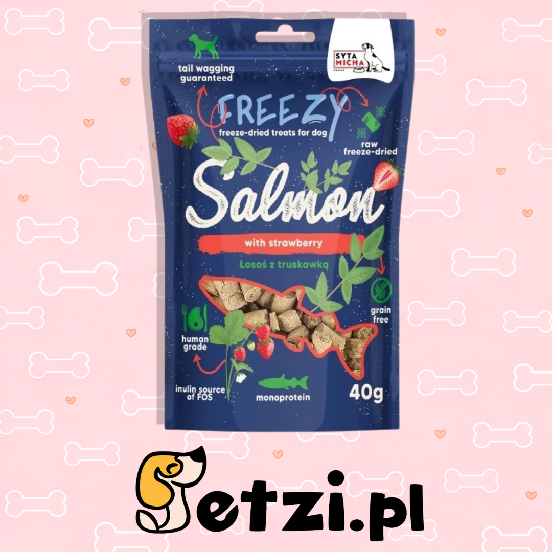 SYTA MICHA FREEZY PRZYSMAKI DLA PSA LIO ŁOSOŚ Z TRUSKAWKĄ I SUSZONĄ BAZYLIĄ 40G