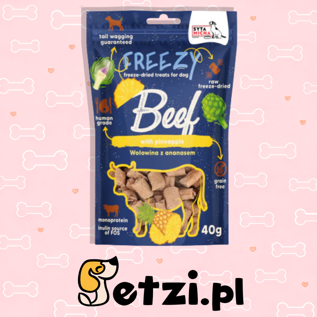 SYTA MICHA FREEZY PRZYSMAKI DLA PSA LIO WOŁOWINA Z ANANASEM I KARCZOCHEM 40G