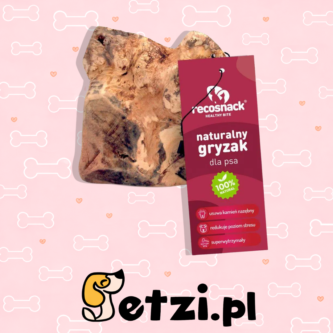 RECOSNACK KORZEŃ HISZPAŃSKIEGO DRZEWA WRZOSOWEGO M