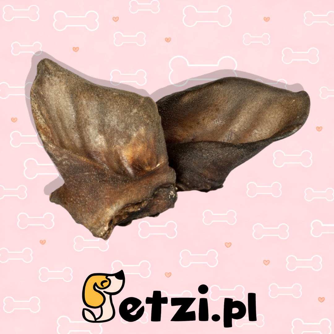 PETMEX UCHO DZIKA 2SZT