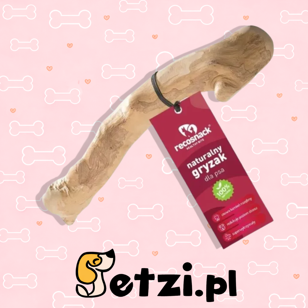 RECOSNACK PATYK Z DRZEWA KAWOWEGO XXL