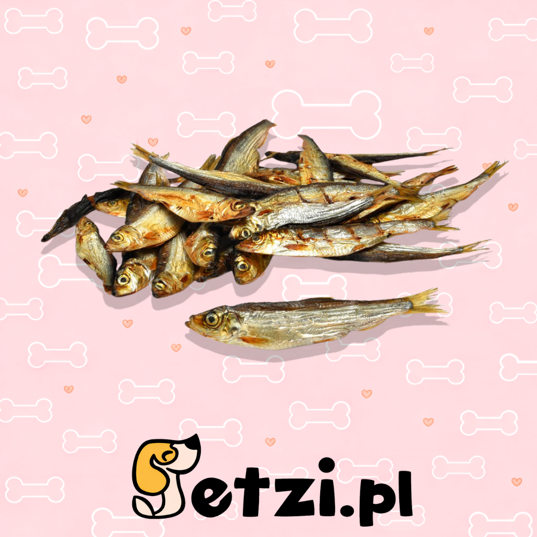 PETMEX SZPROTKI 100G