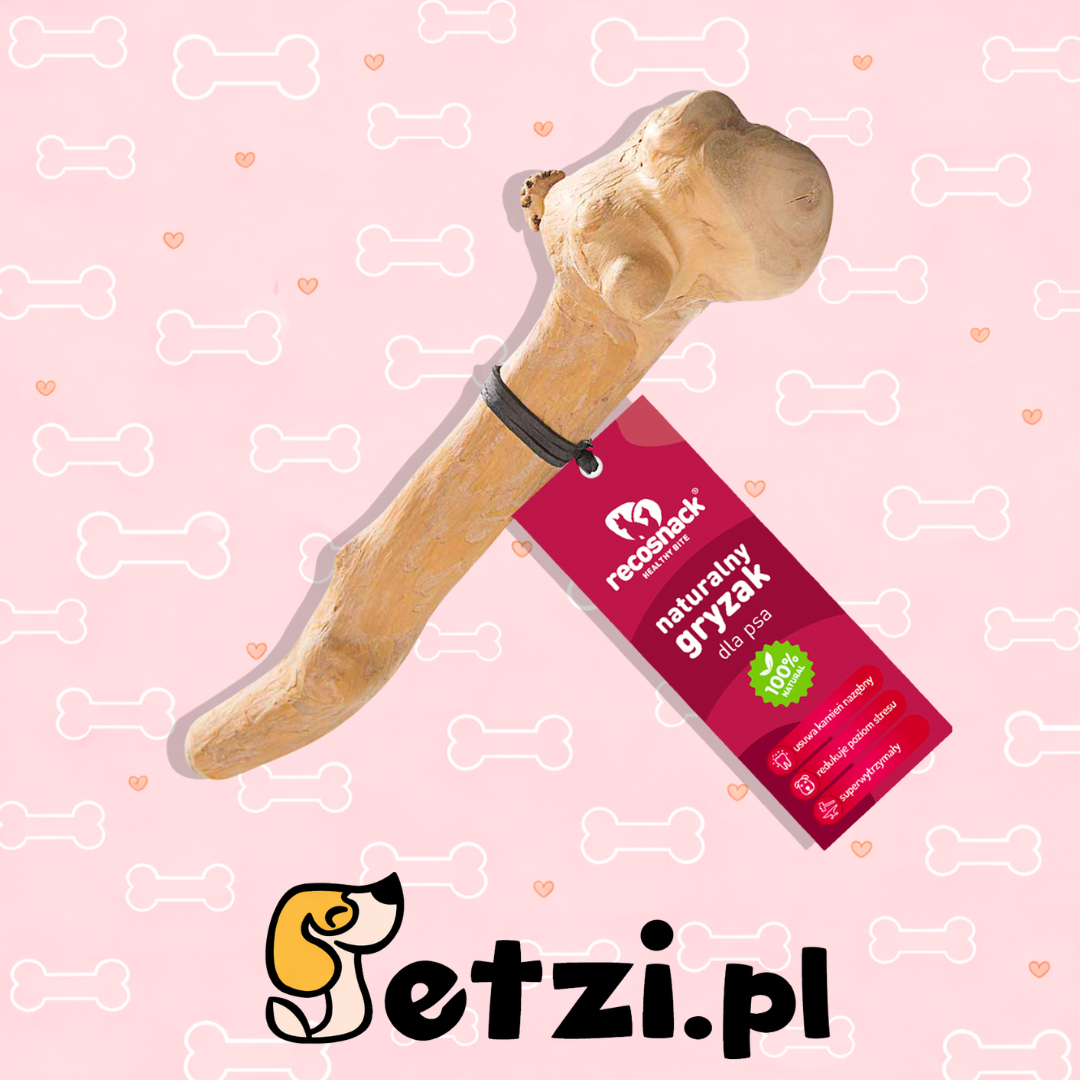 RECOSNACK PATYK Z DRZEWA KAWOWEGO XL