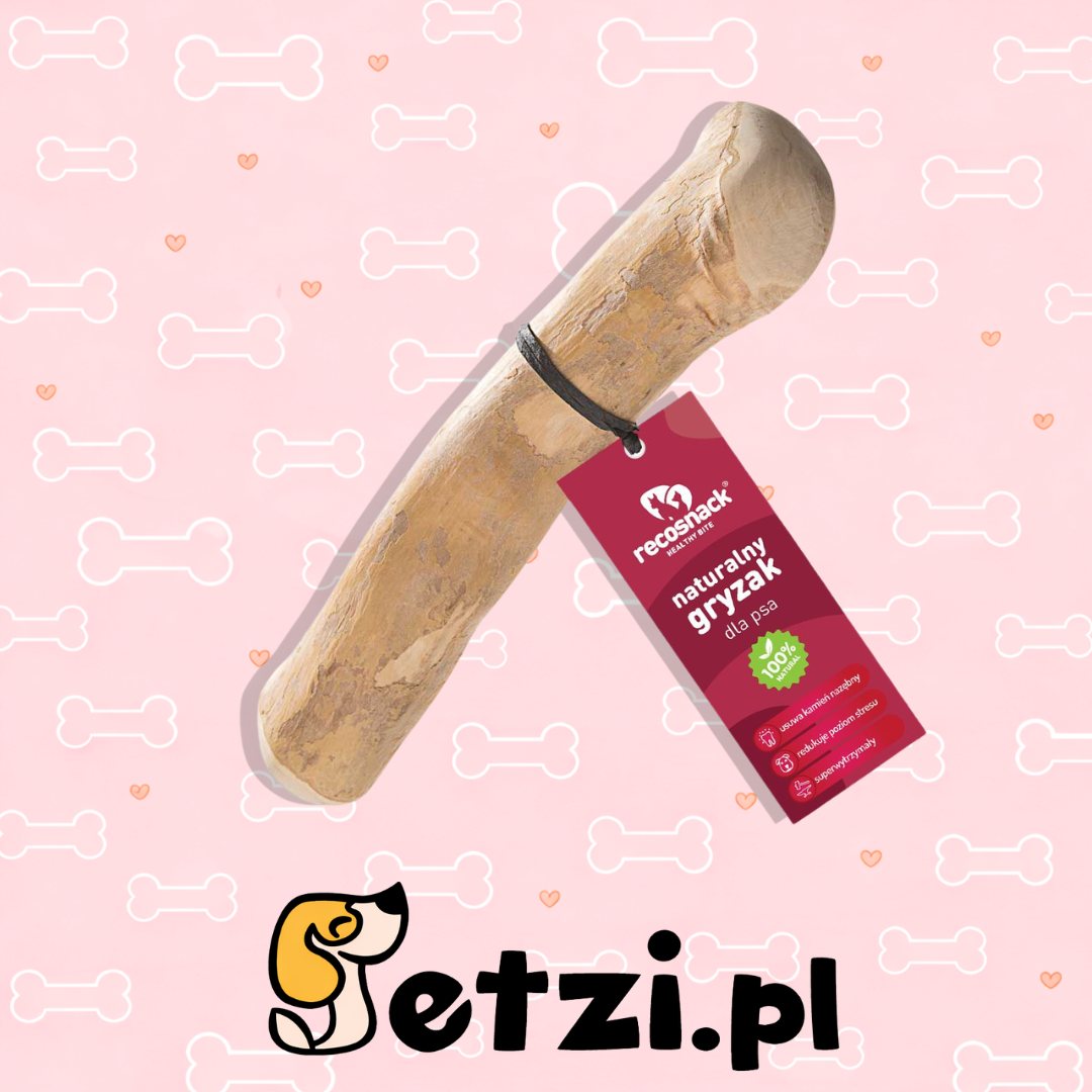 RECOSNACK PATYK Z DRZEWA KAWOWEGO M
