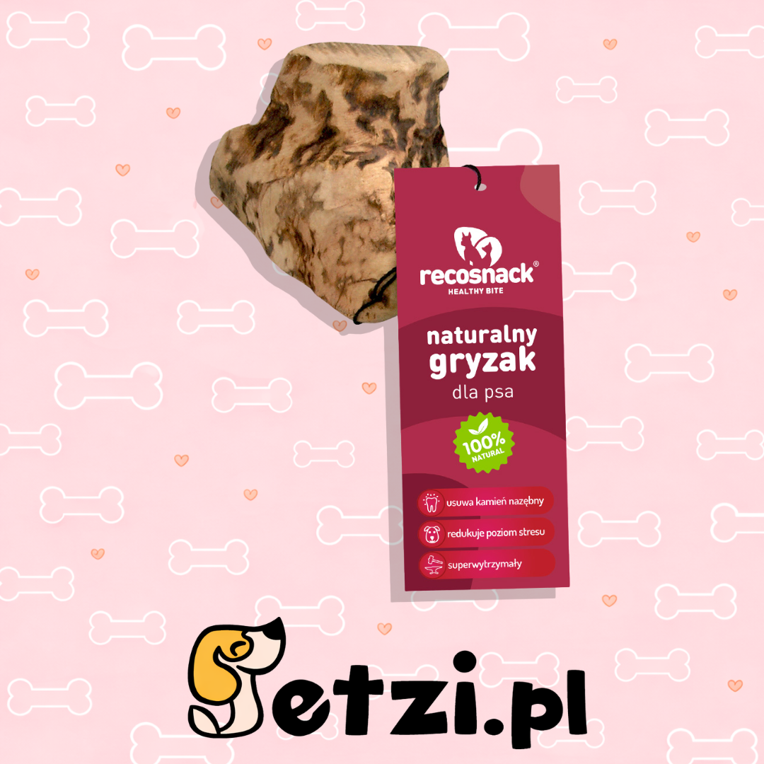RECOSNACK KORZEŃ HISZPAŃSKIEGO DRZEWA WRZOSOWEGO S