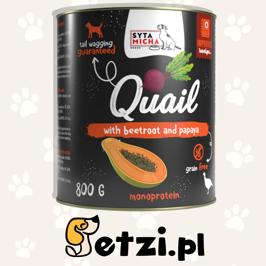 SYTA MICHA MOKRA KARMA DLA PSA PRZEPIÓRKA Z BURAKIEM I PAPAJĄ 800G