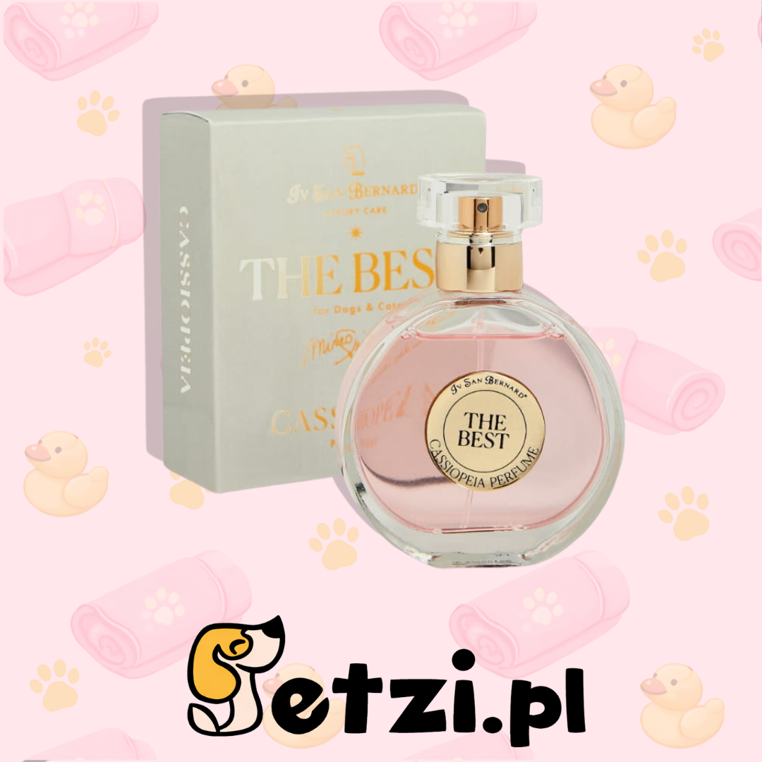 IV SAN BERNARD THE BEST CASSIOPEIA PERFUME 50 ML