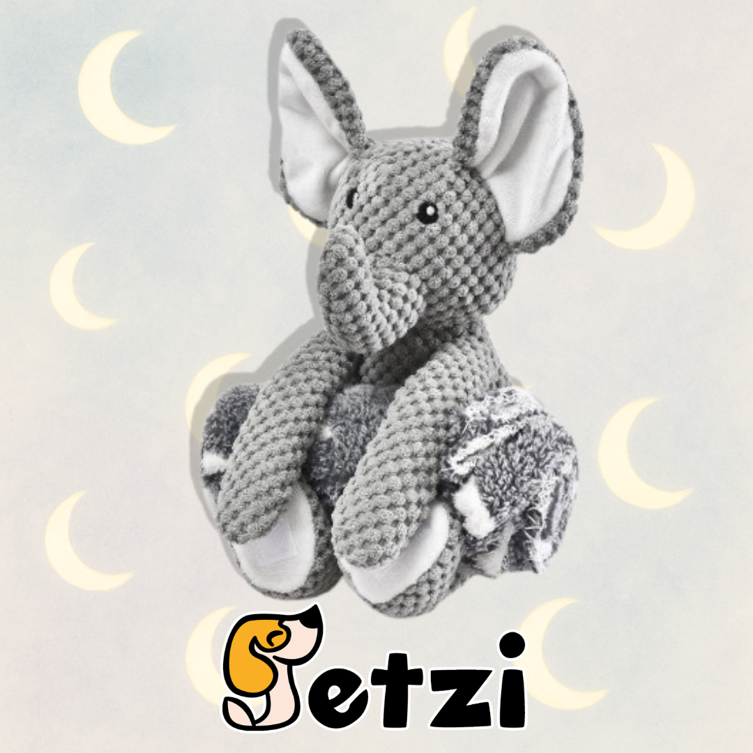 TRIXIE SŁONIK PLUSZOWY DLA PSA 31,5X27CM + MIĘKKI KOCYK 70X60CM