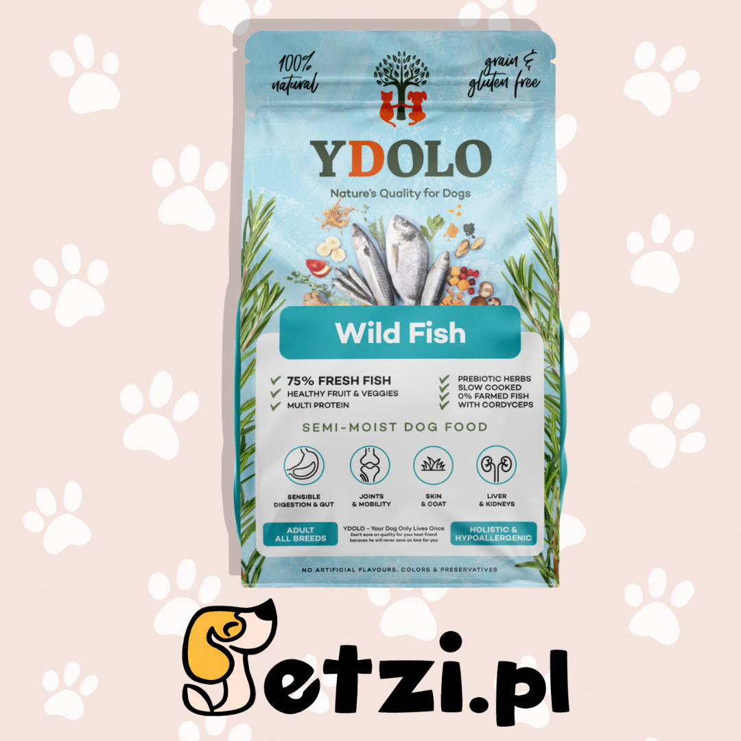 YDOLO SUCHA KARMA DLA PSA WILD FISH 2,5KG