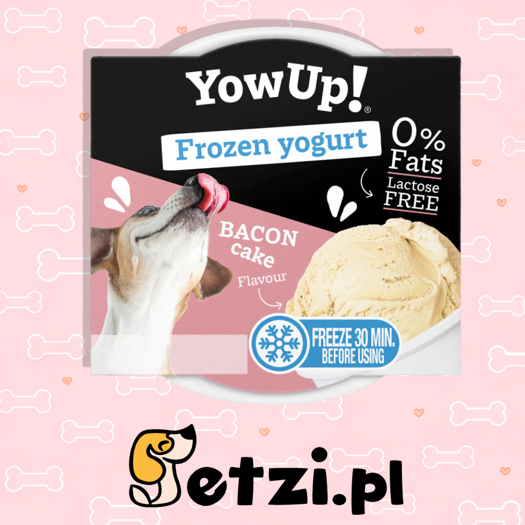 YOW UP! BACON CAKE FROZEN YOGURT JOGURT DO MROŻENIA O AROMACIE BEKONU 110G
