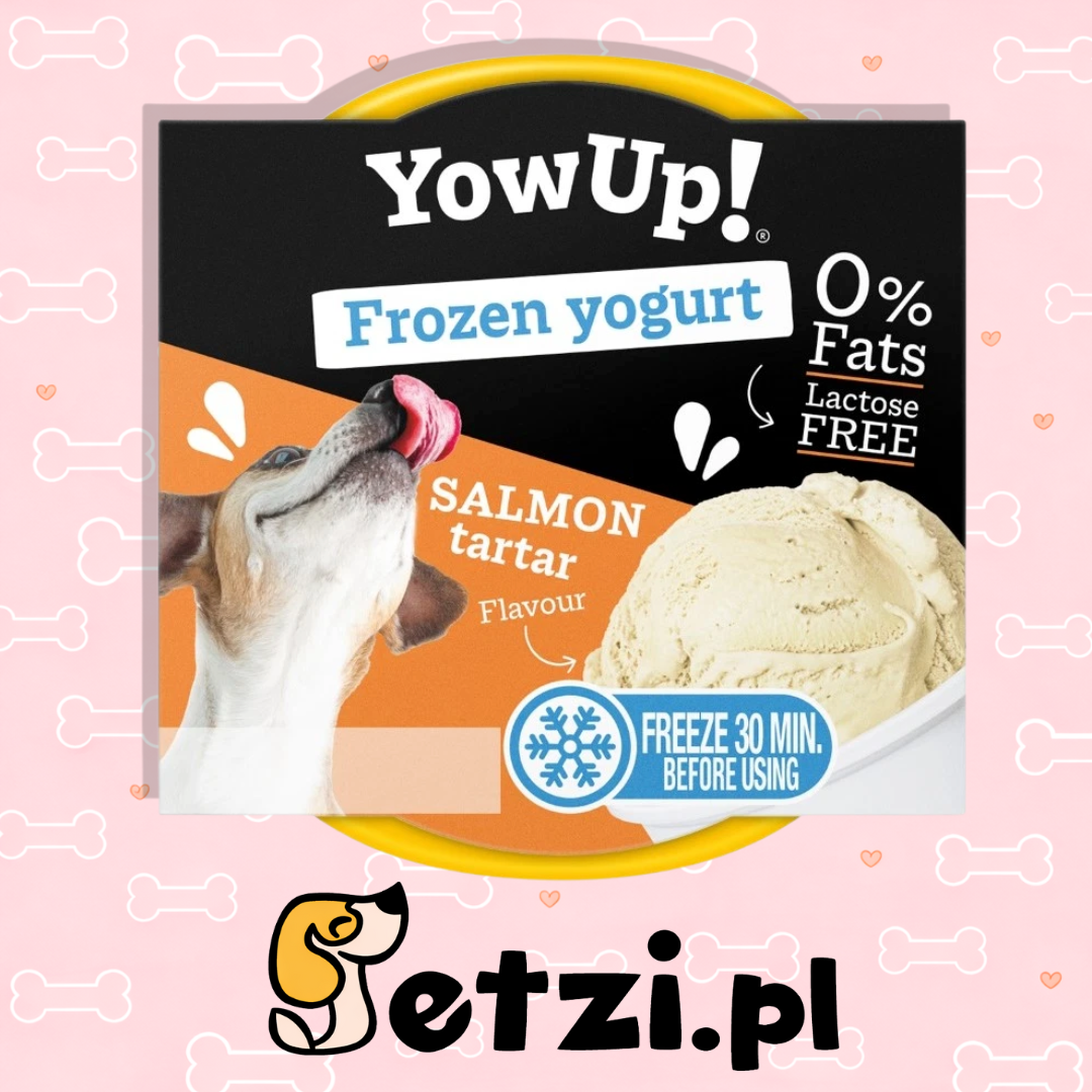 YOW UP! SALMON TARTAR FROZEN YOGURT JOGURT DO MROŻENIA O AROMACIE TATARA Z ŁOSOSIA 110G