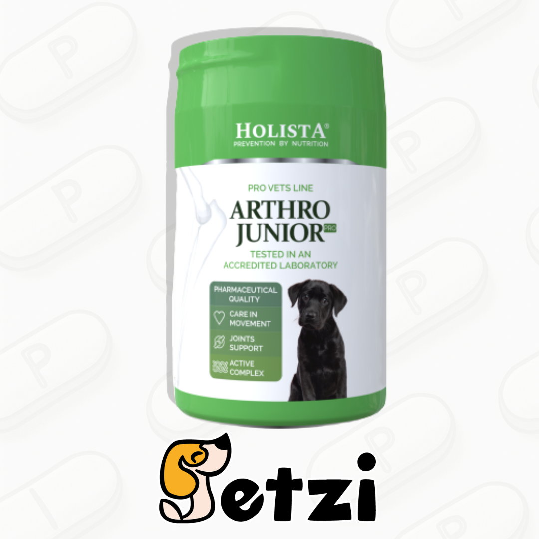 HOLISTA ARTHRO DOCTOR - SUPLEMENT NA STAWY, 200G
