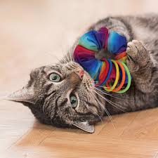 KONG CAT ACTIVE SCRUNCHIE