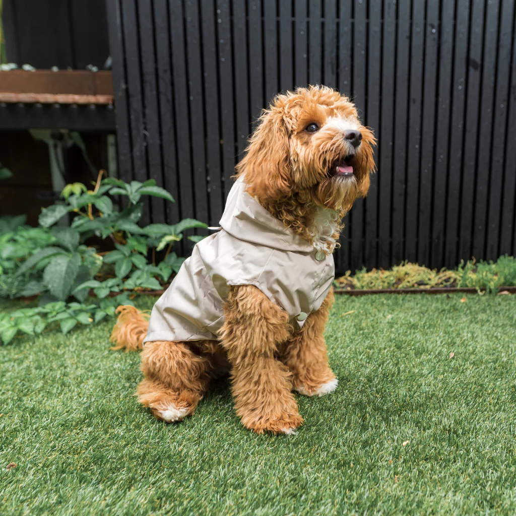 FUZZYARD LIFE RAINCOAT SANDSTONE S3