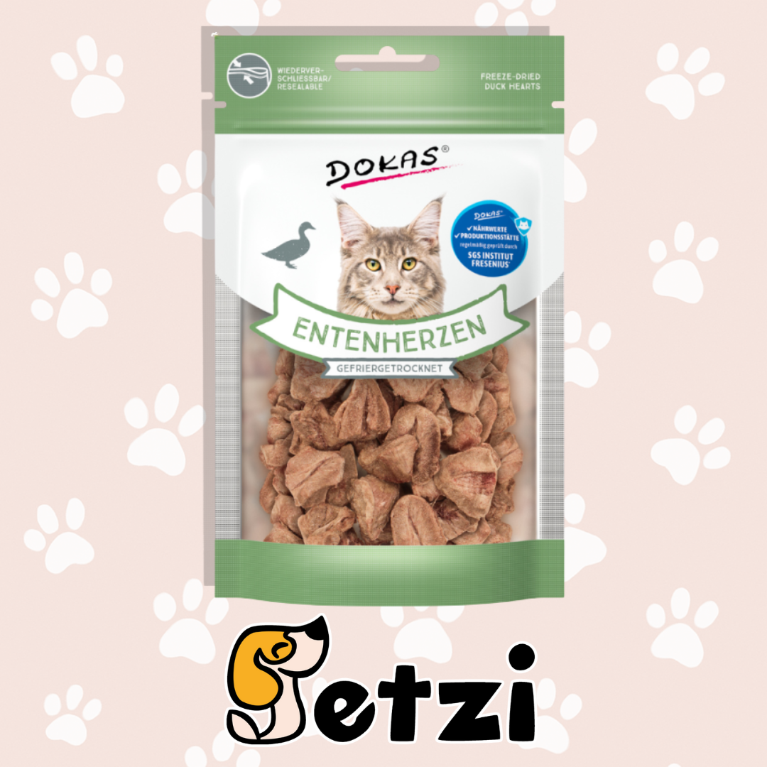 DOKAS KOT LIO - RÓŻNE RODZAJE