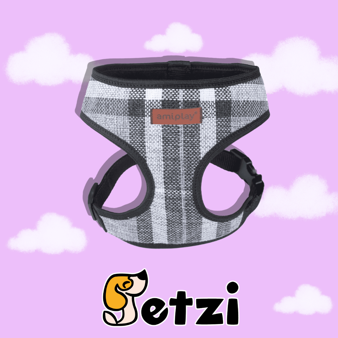 AMIPLAY SZELKI SCOUT LONDON SIZE XXL - RÓŻNE KOLORY I ROZMIARY
